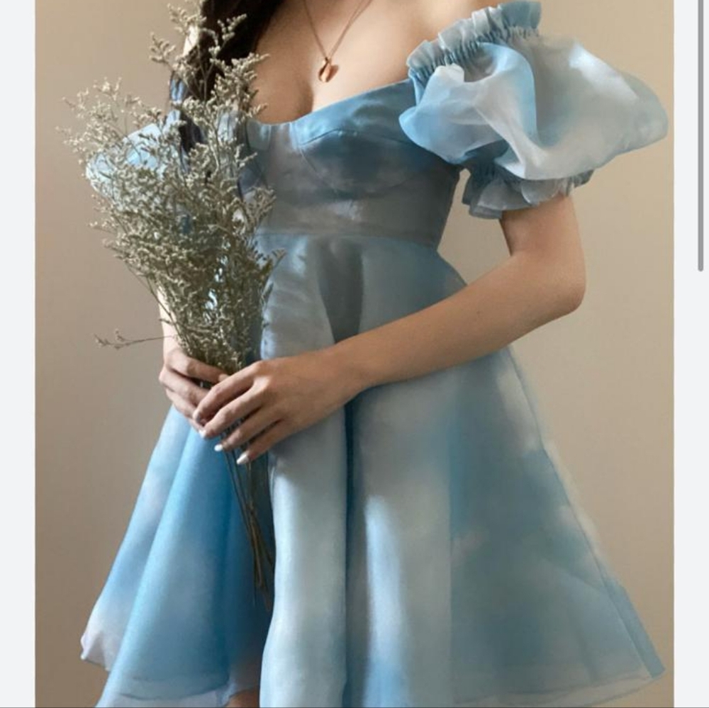 Selkie Head in the Clouds Parliament Dress
